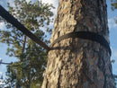 Eco-Friendly Tree Straps