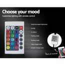 RGB LED Bed Frame Queen Size Gas Lift Base With Storage Grey Fabric LUMI