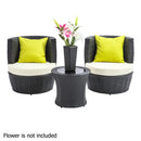 4 Piece PE Wicker Outdoor Set - Black