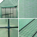 Greenhouse Green House Tunnel 2MX1.55M Garden Shed Storage Plant