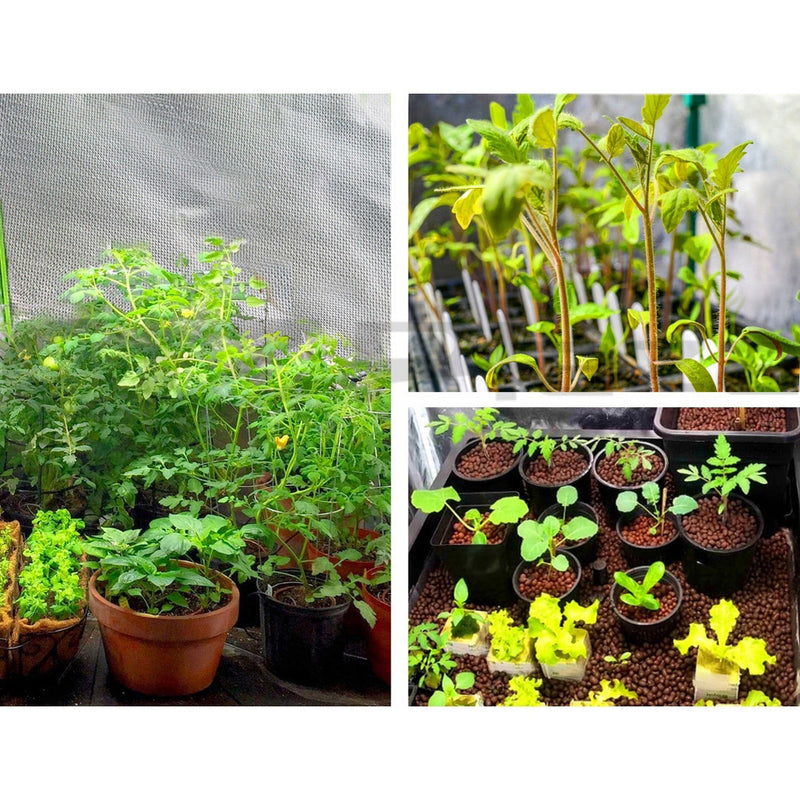 Hydroponics Grow Tent Kits Hydroponic Grow System Black 60X60X90CM 600D Oxford