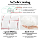 Giselle Bedding Double Size Duck Down Quilt