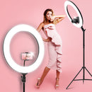 19" LED Ring Light 6500K 5800LM Dimmable Diva With Stand Make Up Studio Video