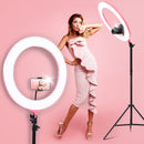 19" LED Ring Light 6500K 5800LM Dimmable Diva With Stand Make Up Studio Video