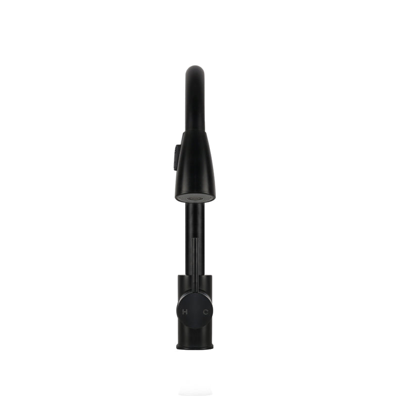 Pull-out Mixer Faucet Tap - Black