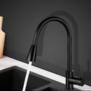 Pull-out Mixer Faucet Tap - Black