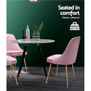 Set of 2 Dining Chairs Retro Chair Cafe Kitchen Modern Iron Legs Velvet Pink