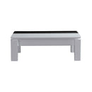 Grandora Coffee Table Black & White Glossy Colour