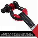 2PCS Bow Shackle D-ring 5T 5Ton Rated 22mm Offroad Recovery Tow Car Trailer 4WD